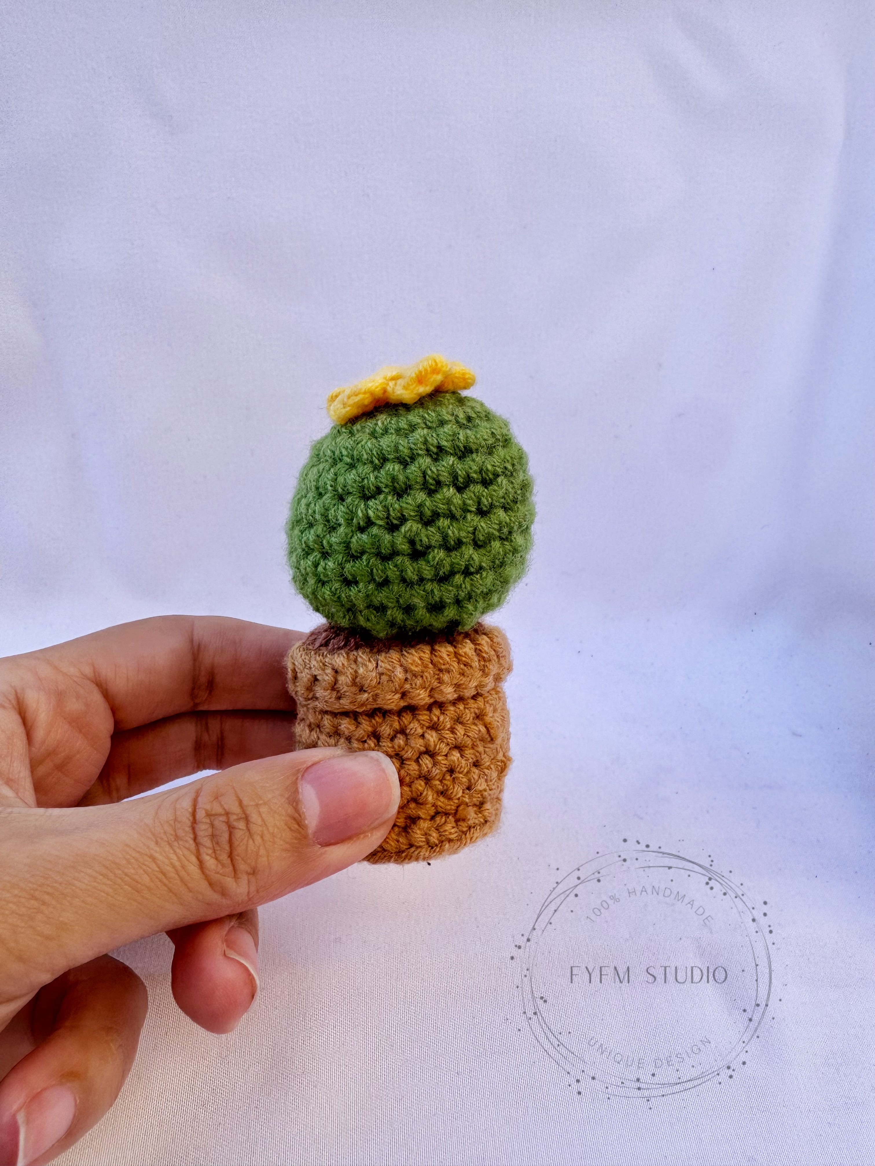 Cactus  Flower Crochet with Milk Yarn/ Handmade Flower Pot