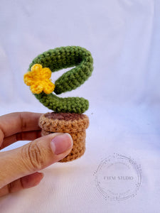Cactus  Flower Crochet with Milk Yarn/ Handmade Flower Pot
